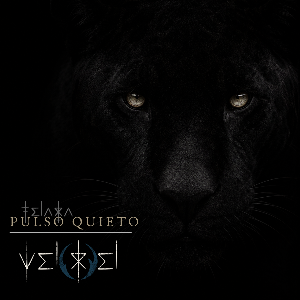 Portada del single Pulso quieto